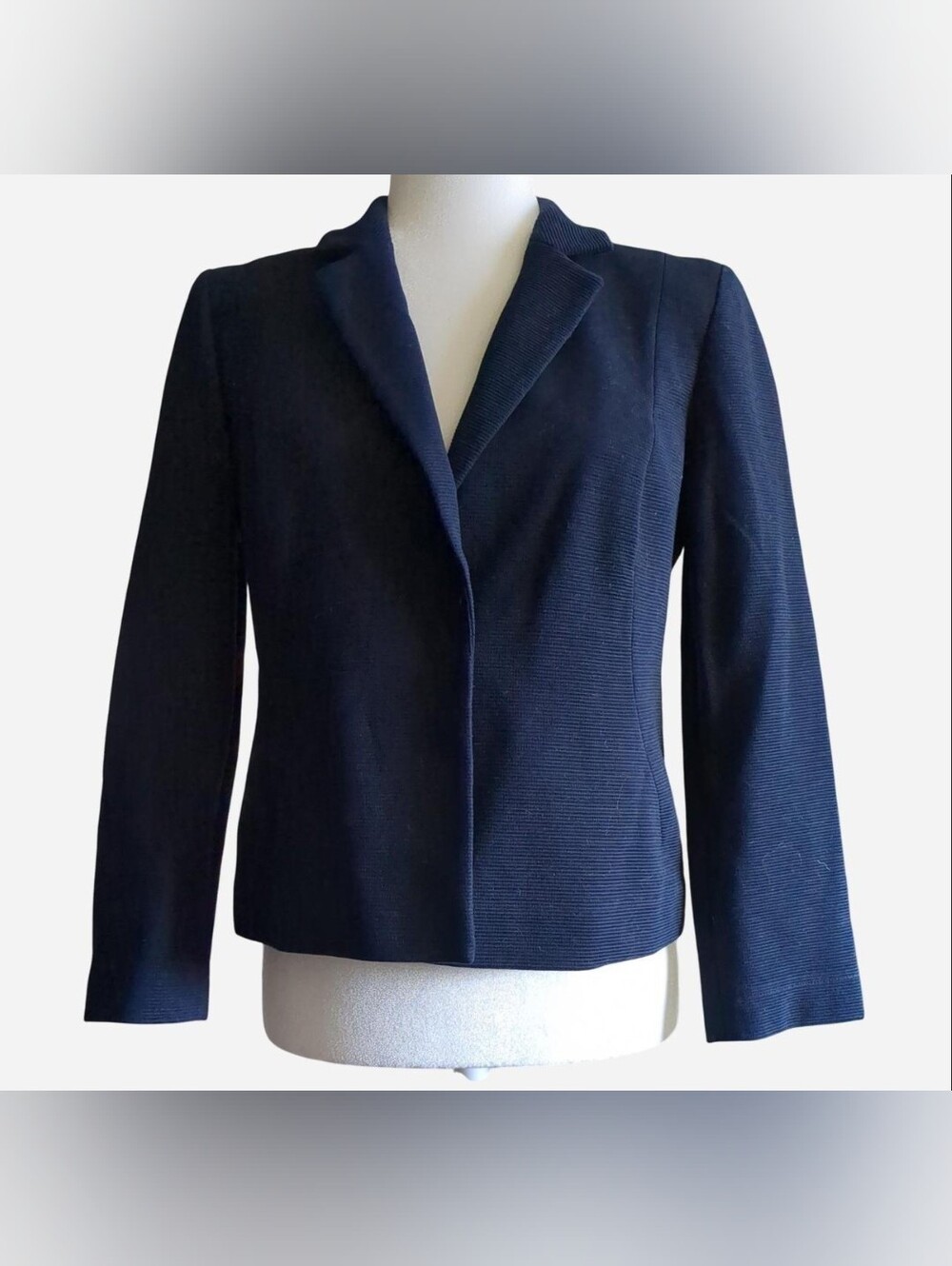 Lida Baday Navy Textured Blazer Jacket Sz 10 Office Siren Quiet Luxury